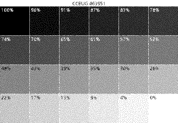/mirror/kimageformats/raw/commit/e90bca4924e339e6f7ca81ba9969a54fd0ef319f/autotests/read/pcx/mono.png